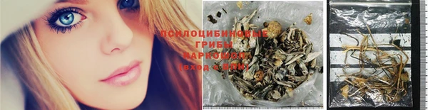 спайс Алексеевка
