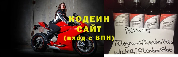 apvp Каменка