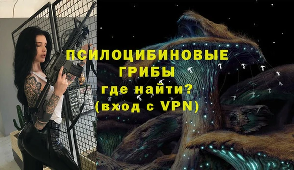 дживик Алексин