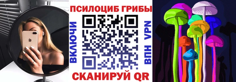 OMG ССЫЛКА  где найти наркотики  Аткарск  Галлюциногенные грибы Cubensis 